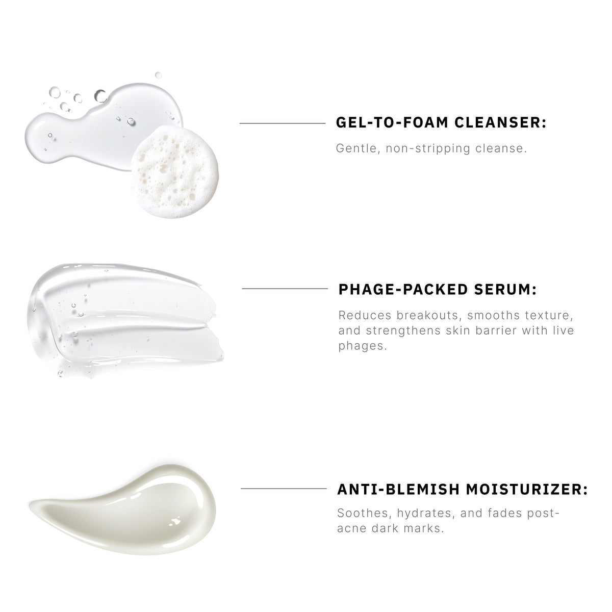 Acne Phage System